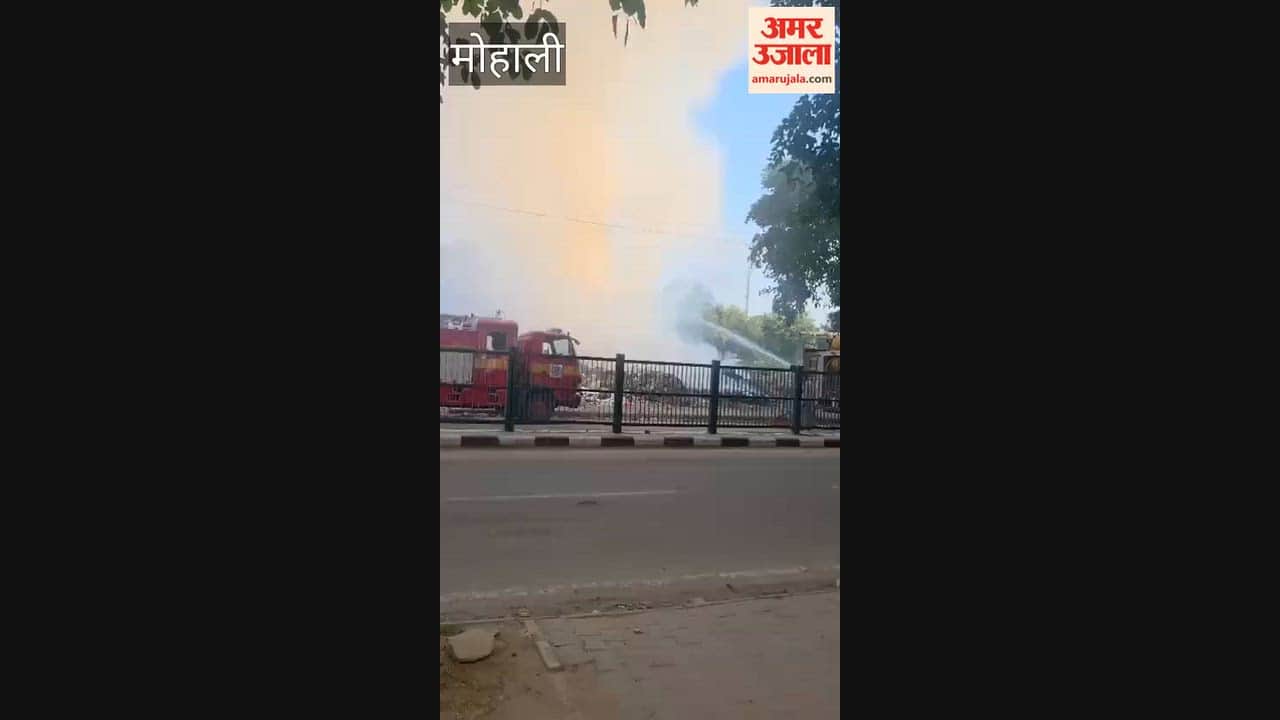Fire breaks out in a garbage pile near the Kisan Mandi in Mohali's Phase-5.