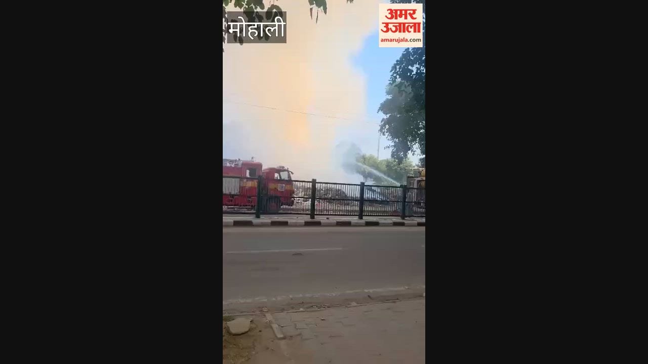 Fire breaks out in a garbage pile near the Kisan Mandi in Mohali's Phase-5.