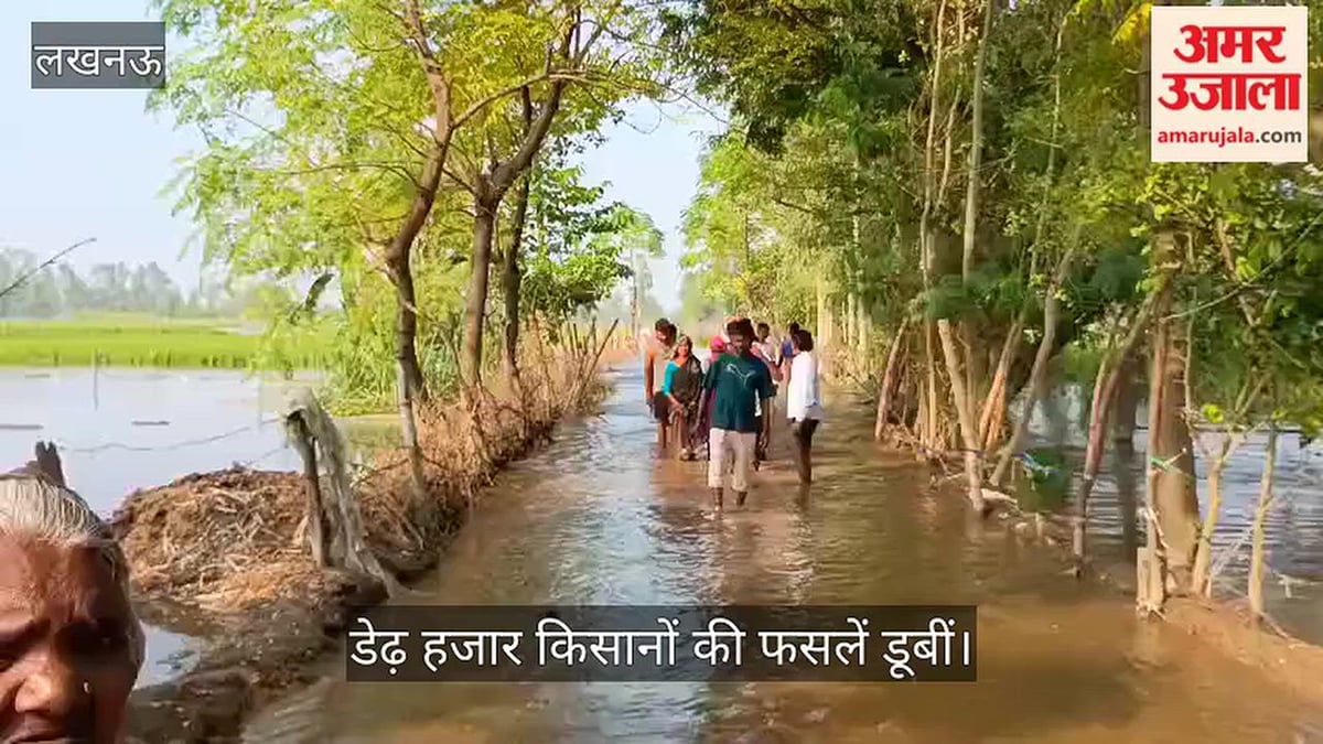 Video: गोमती का जलस्तर बढ़ा, डेढ़ हजार किसानों की फसलें डूबीं