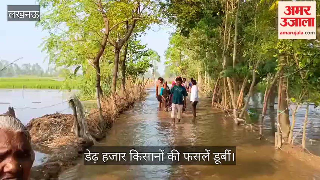 Video: गोमती का जलस्तर बढ़ा, डेढ़ हजार किसानों की फसलें डूबीं