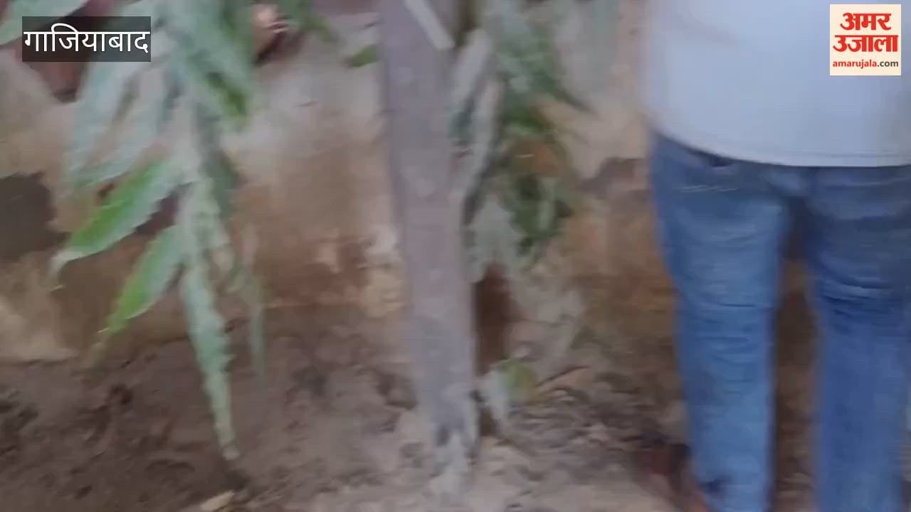 balcony ledge on eighth floor of Devika Tower in Vaishali Sector-4 collapsed
