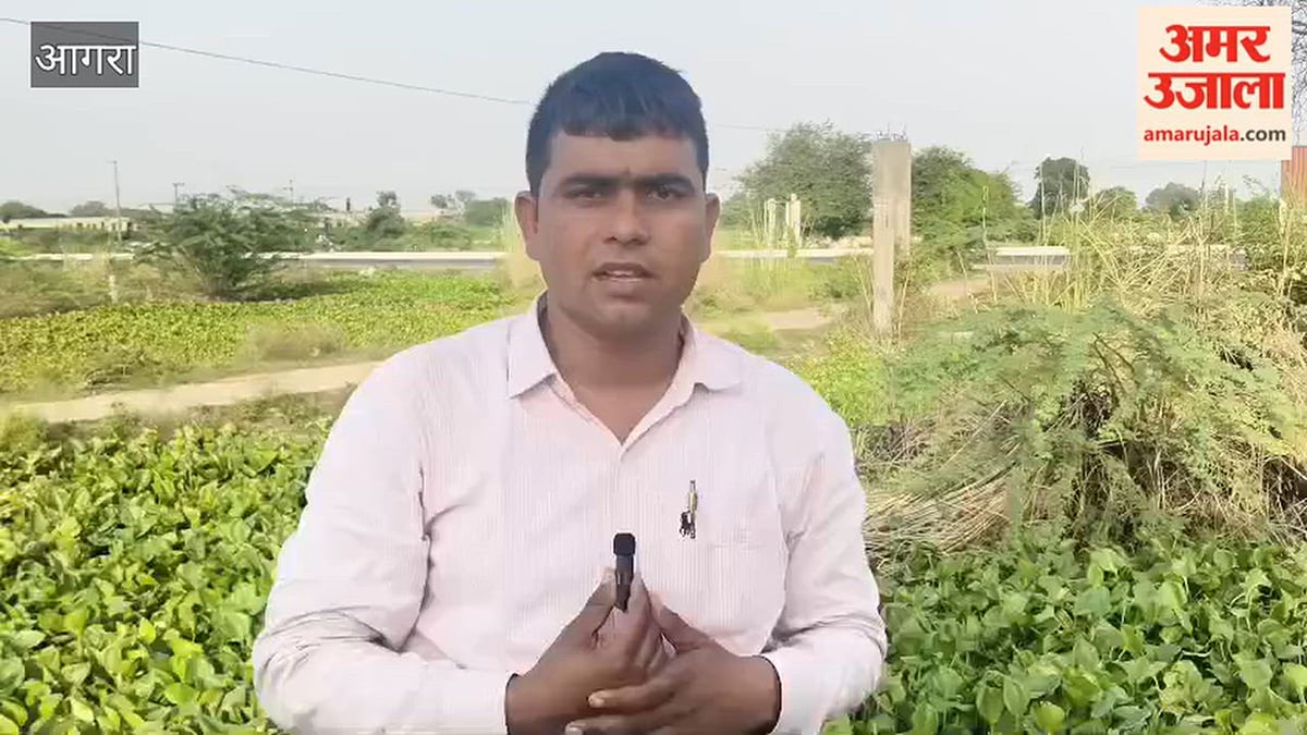 VIDEO: हार्डवेयर की दुकान में चोरी का 24 घंटे में खुलासा, बाल अपचारी समेत दो पकड़े