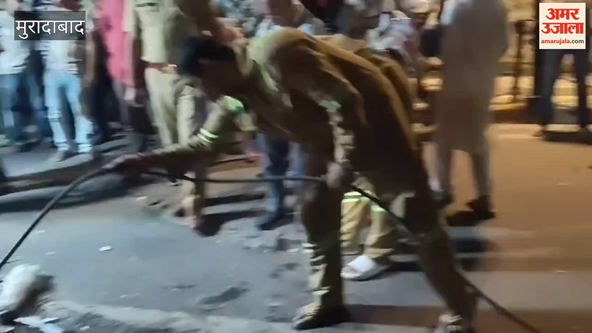टाउन हॉल के पास निकला सांप, फायर सर्विस टीम ने संभाला मोर्चा