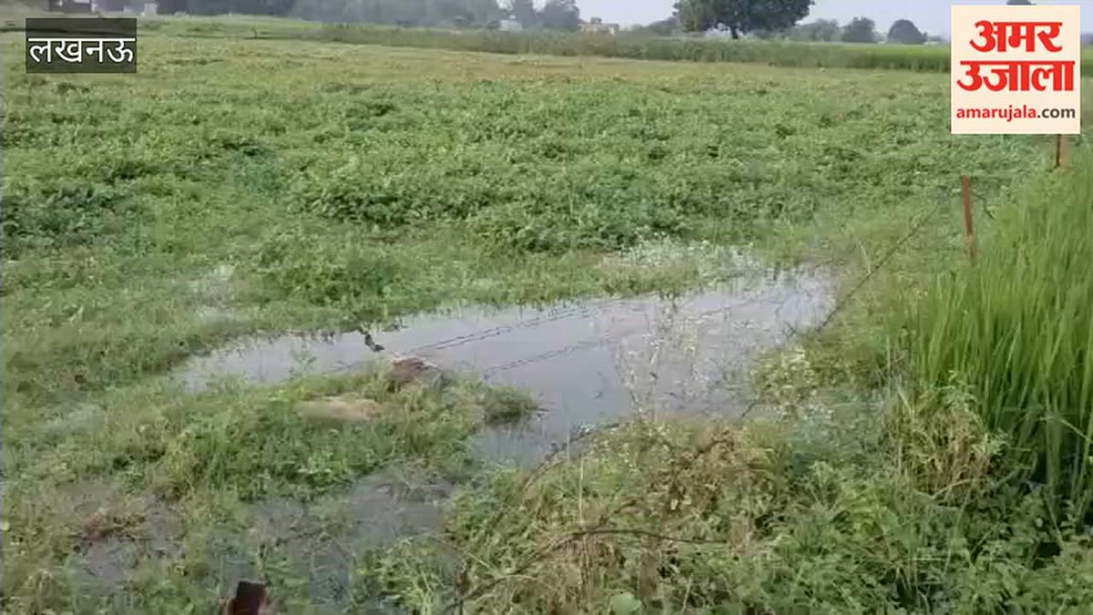 लखनऊ में गोमती का जलस्तर बढ़ा, सैथा में 100 बीघे से अधिक फसल जलमग्न