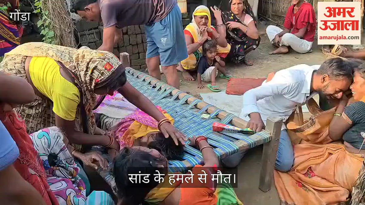 गोंडा: सांड के हमले में आठवीं के छात्र की मौत, परिवार में मचा कोहराम