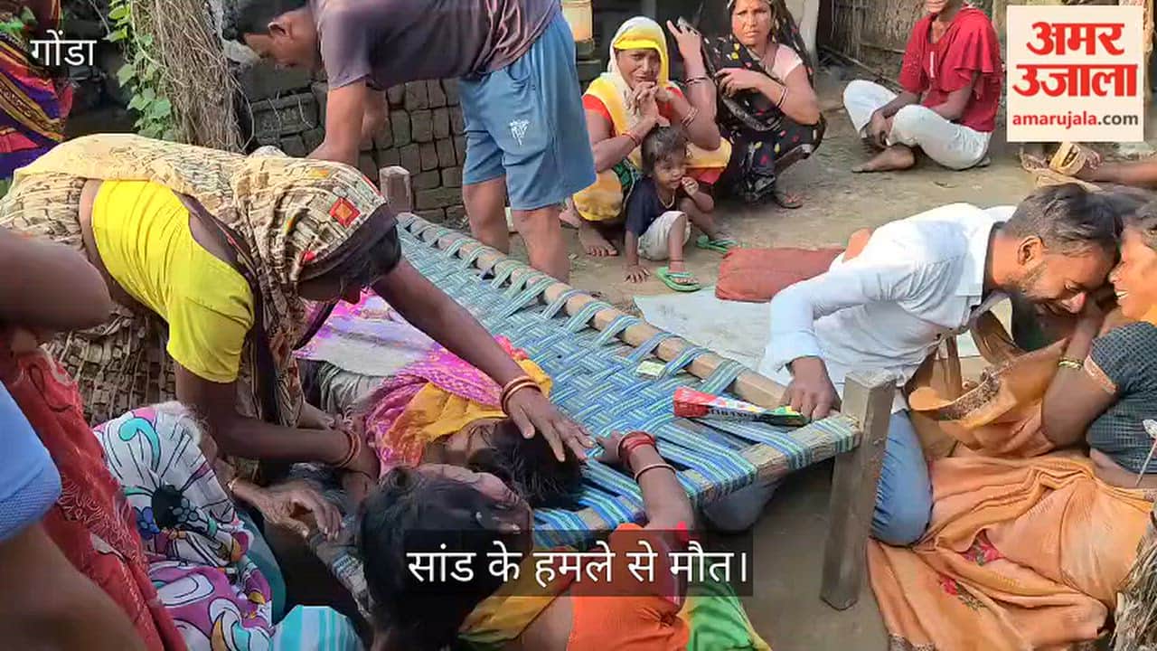 गोंडा: सांड के हमले में आठवीं के छात्र की मौत, परिवार में मचा कोहराम