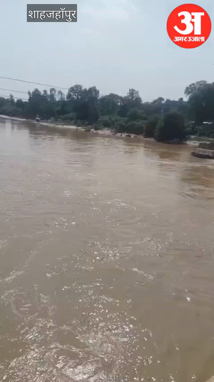 शाहजहांपुर: आधार में संशोधन न होने पर युवक ने पुल से नदी में लगाई छलांग, नाविक ने बचाया