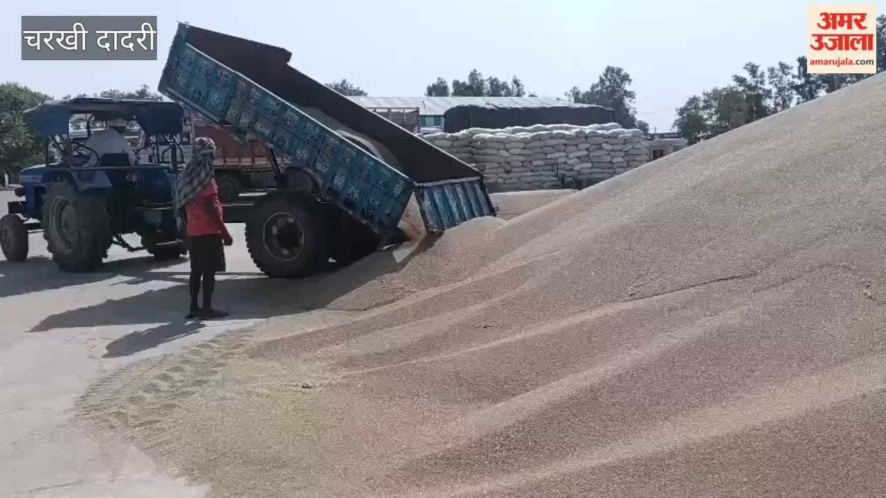 Arrival of pearl millet increases at Charkhi Dadri grain market; a one-kilometer-long queue of tractor-trolleys forms.
