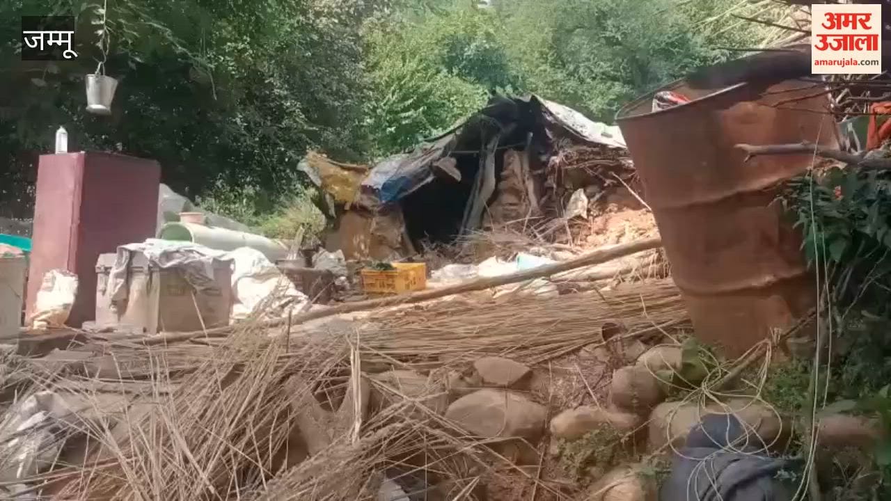 Action against illegal encroachment on forest land