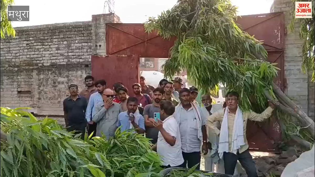 VIDEO: मथुरा में विंगस्टन होटल की दीवार गिरी, तीन मजदूर दबे; एक का शव बरामद