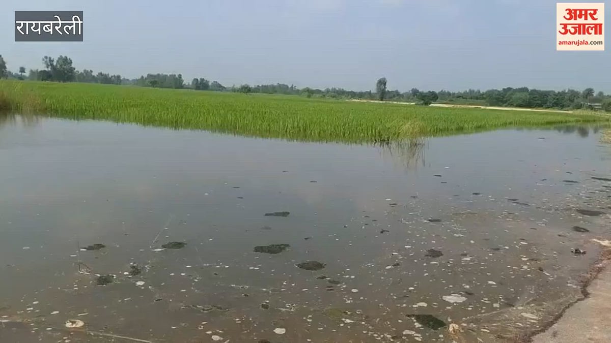 रायबरेली के बछरावां क्षेत्र में सई नदी में उफान से जनजीवन अस्त व्यस्त, उन्नाव का संपर्क टूटा