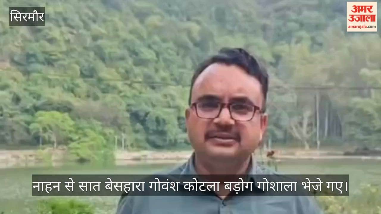 Seven stray cattle were sent from Nahan to the Kotla Badog cowshed; their owners have been identified, and instructions for action have been issued.
