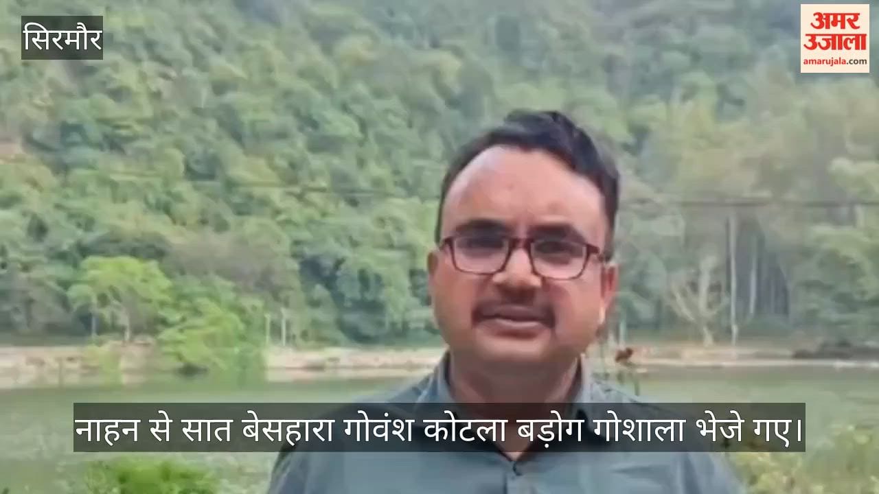 Seven stray cattle were sent from Nahan to the Kotla Badog cowshed; their owners have been identified, and instructions for action have been issued.