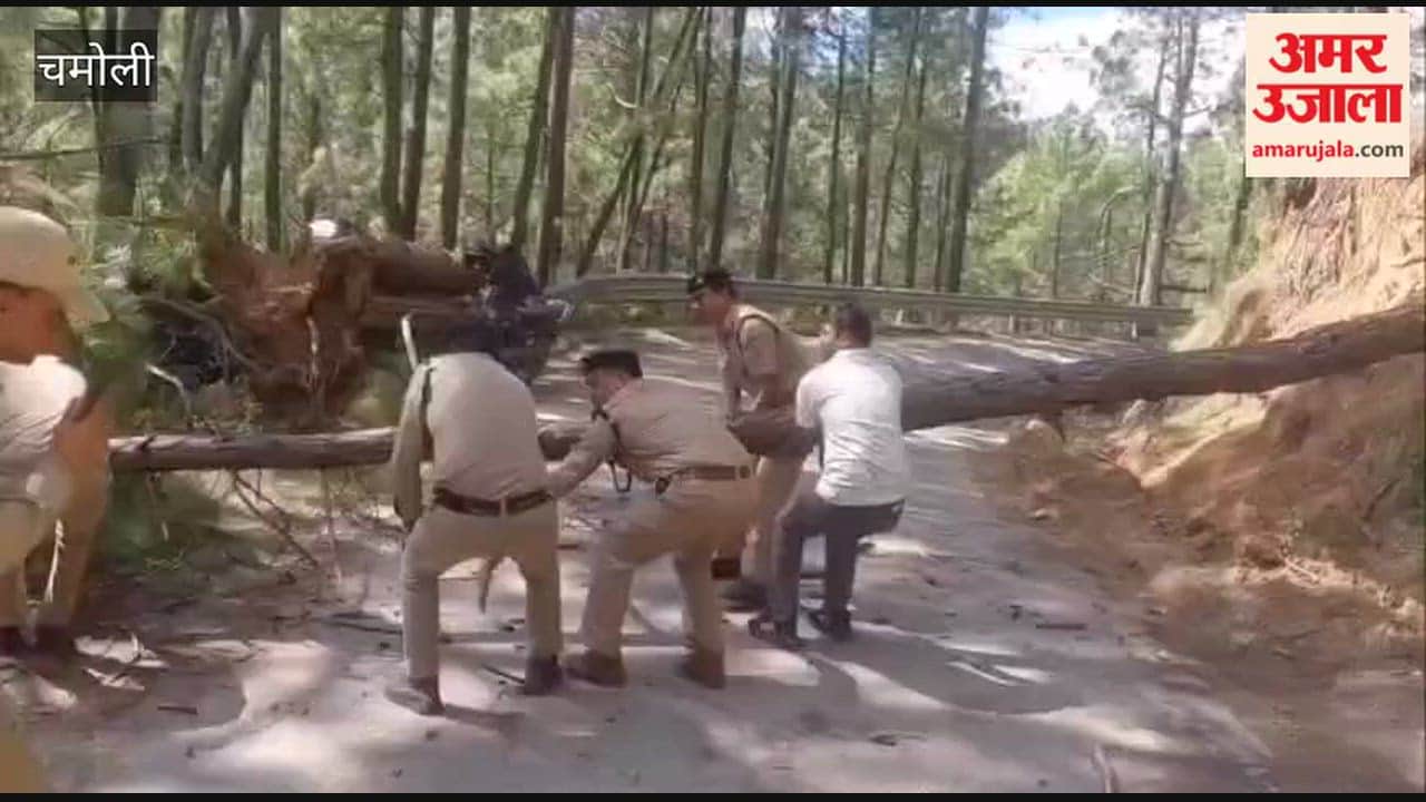 Chamoli:Traffic was disrupted by a tree that had fallen onto the road; Gairsain police, with the help of locals, removed it and restored the flow of traffic