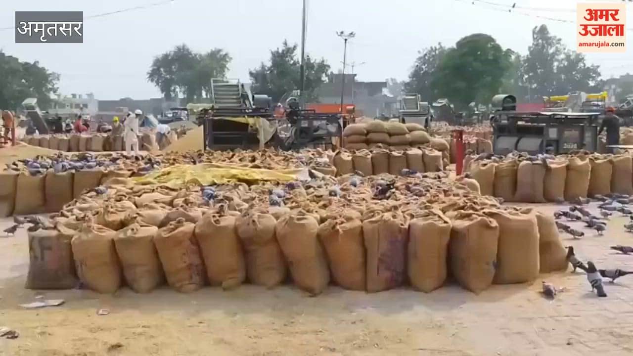 Government procurement of paddy begins in mandis