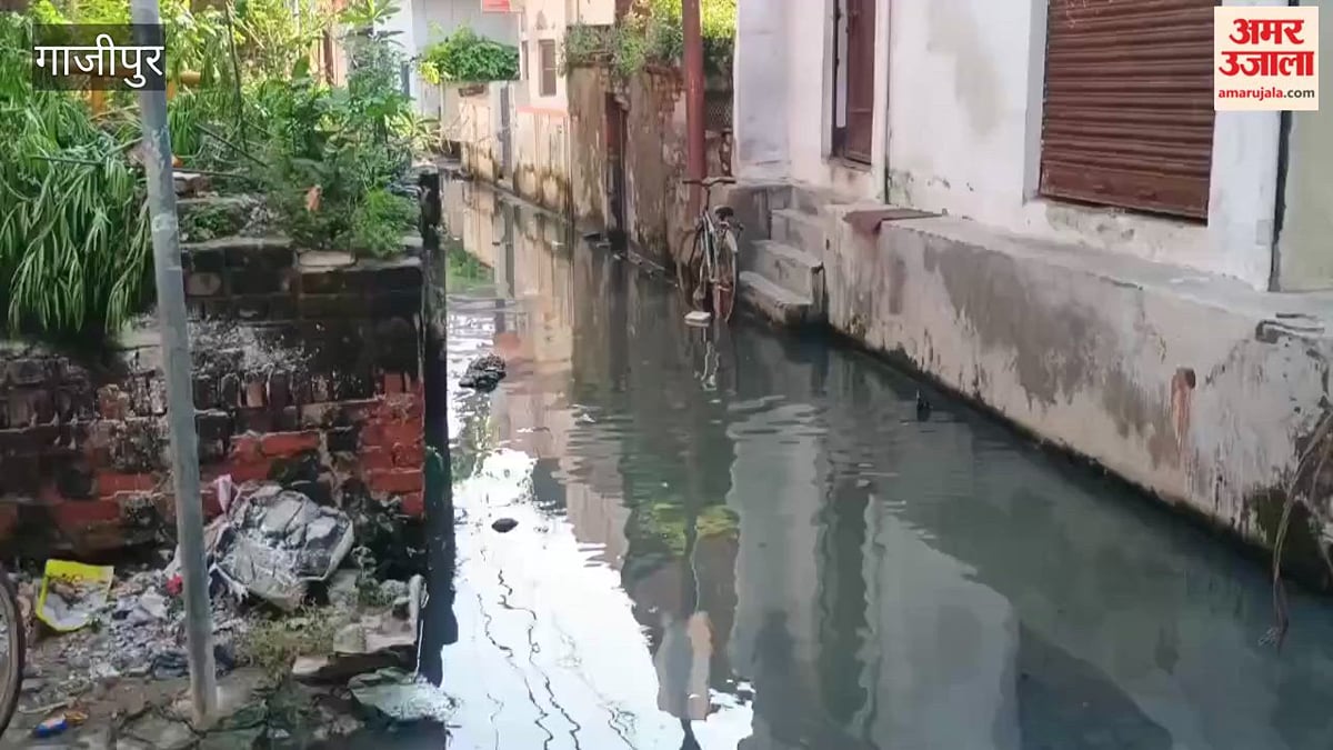 दो महीने से गंदे पानी में फंसी रायगंज की राह, VIDEO