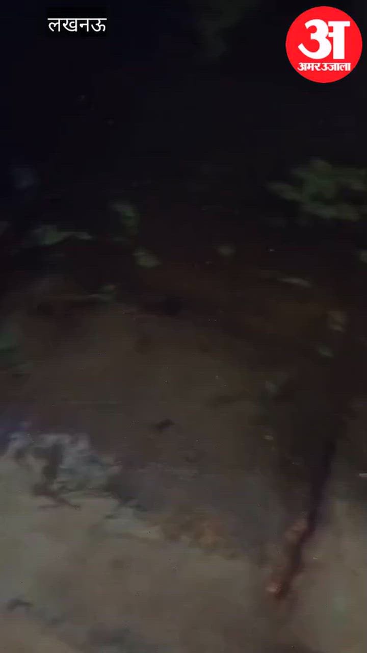 VIDEO: जलभराव के बीच सांप दिखने से दहशत, जागकर रात काट रहे लोग