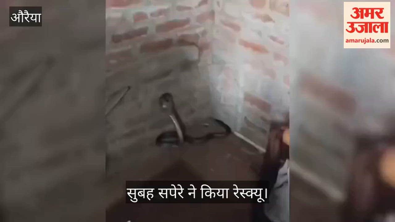Auraiya snake appeared in house in Omnagar late at night family performed aarti regarding it as Nag Devta