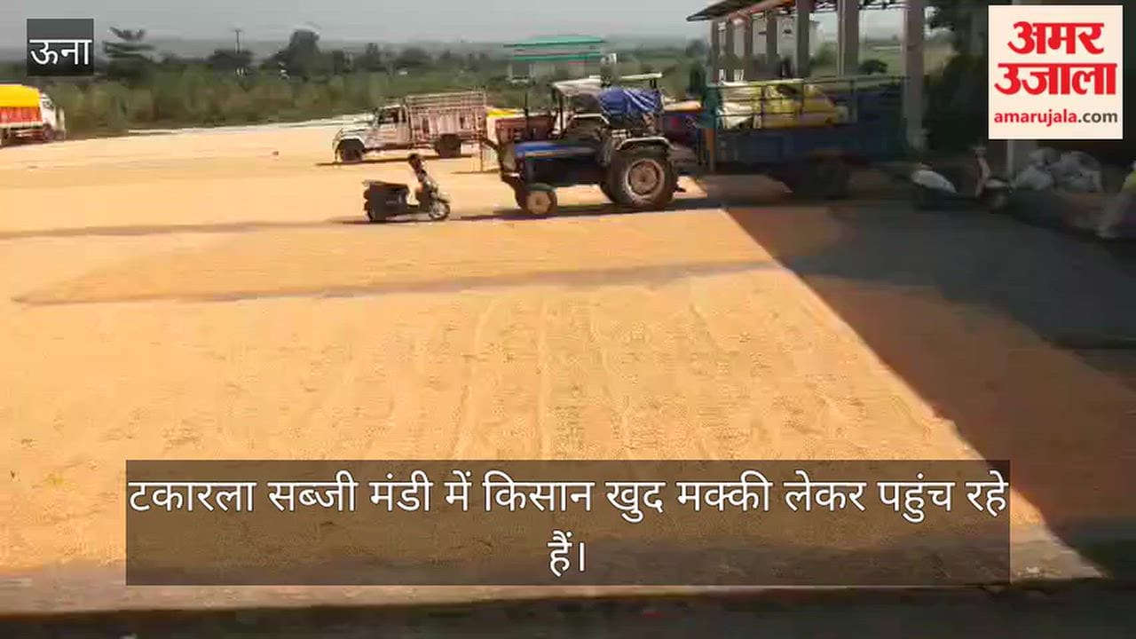 takarla vegetable market maize farmers good crop price expectation
