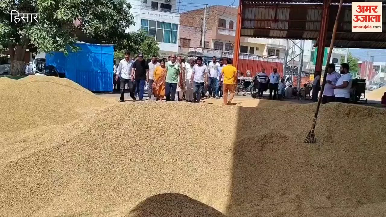 Paddy procurement begins in Hansi; MLA Vinod Bhayana targets the opposition.