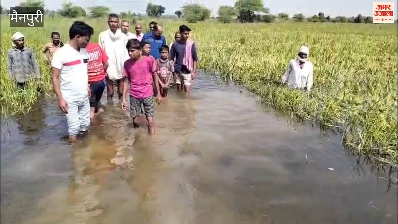 Arind River in spate hundreds of bighas of crops submerged