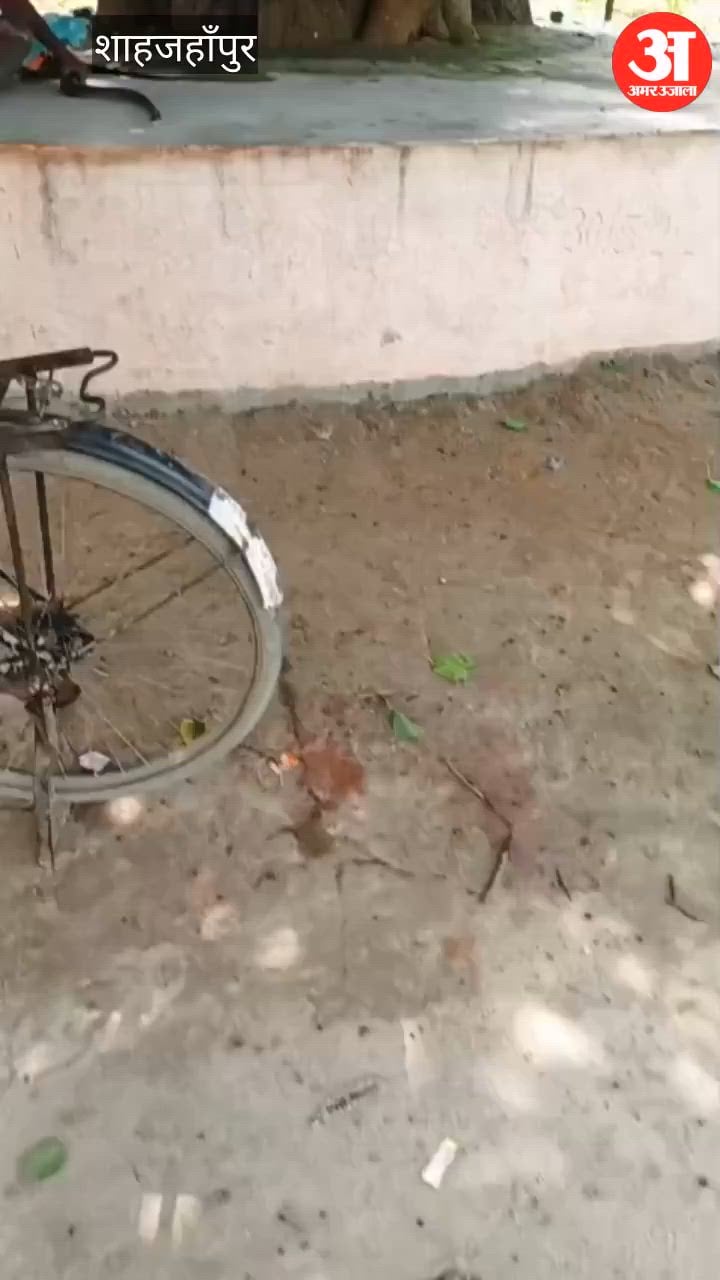 वीडियो: शराब के नशे में युवक ने पकड़ी नागिन, करने लगा खिलवाड़, डसने से गई जान