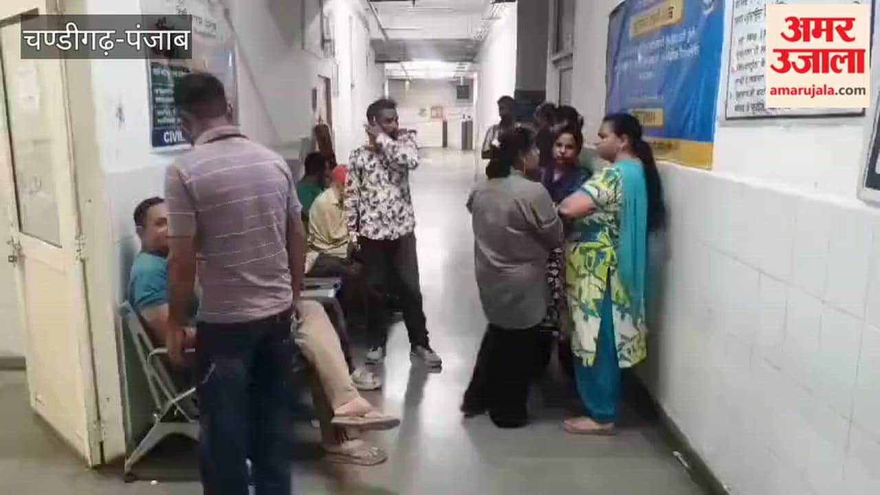 Orders issued to relocate Nangal's meat market outside the city; a dog had bitten nine people.