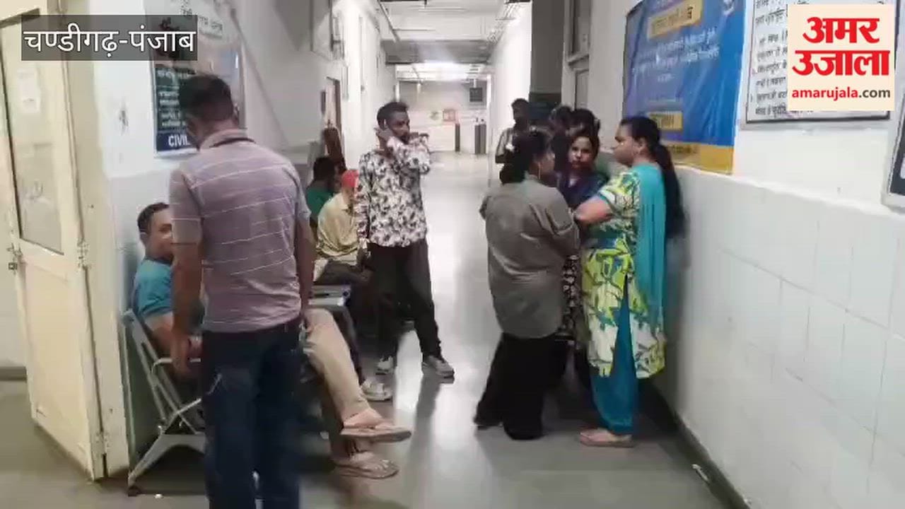 Orders issued to relocate Nangal's meat market outside the city; a dog had bitten nine people.