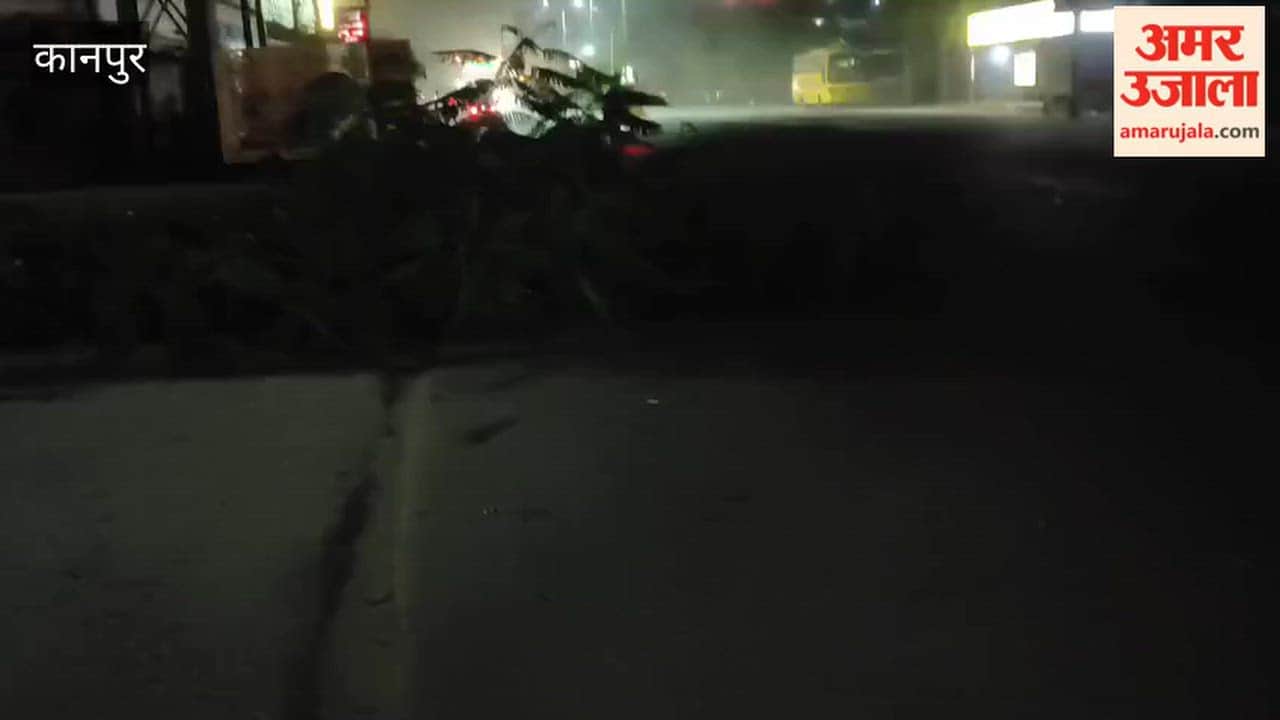 Kanpur: Tree falls in the middle of the road; risk of accident