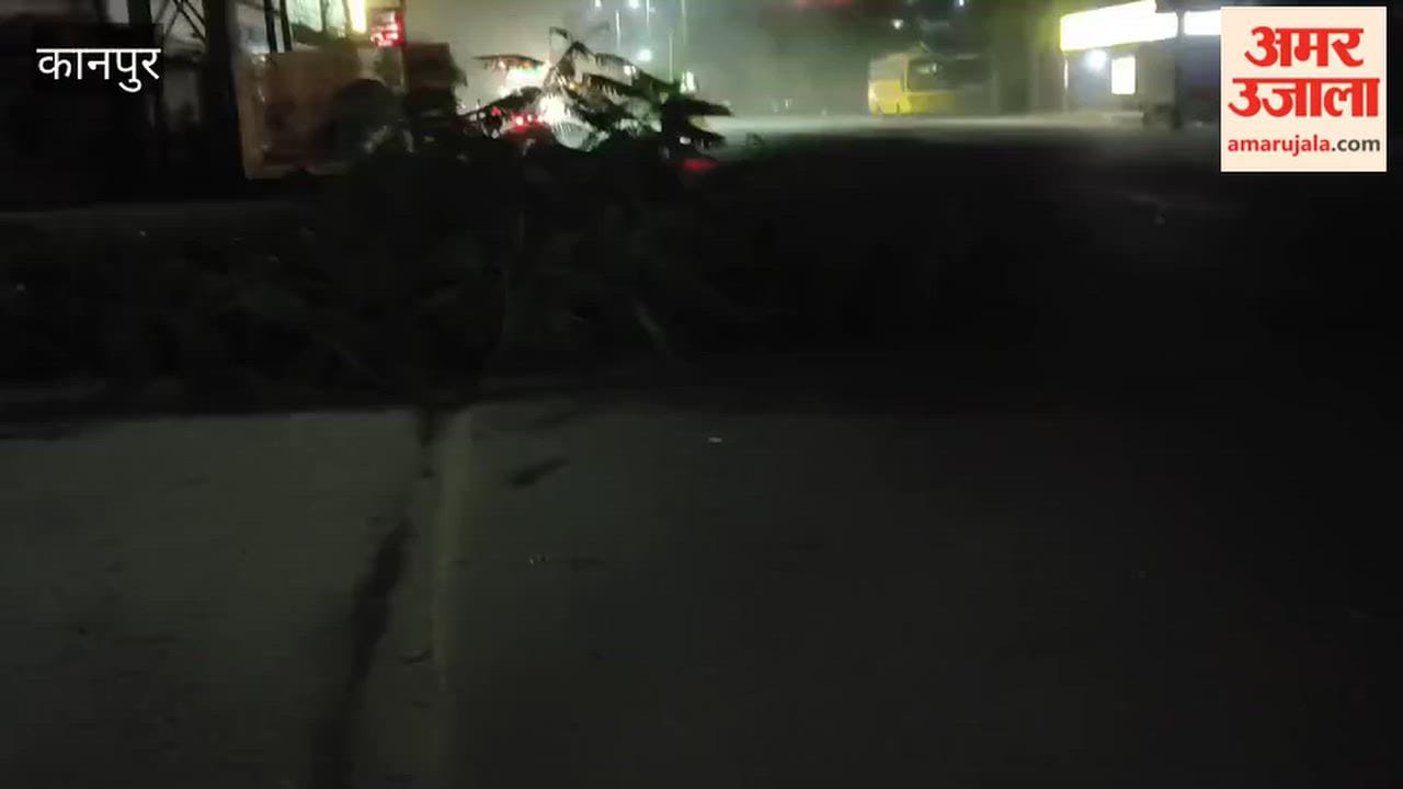 Kanpur: Tree falls in the middle of the road; risk of accident