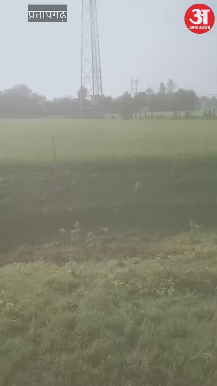 रास्ते की मांग को लेकर टावर पर चढ़ा ग्रामीण, एसडीएम के कहने पर नीचे उतरा