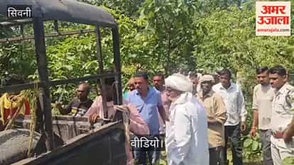 Tiger attack: Elderly farmer grazing cattle dies in Seoni.