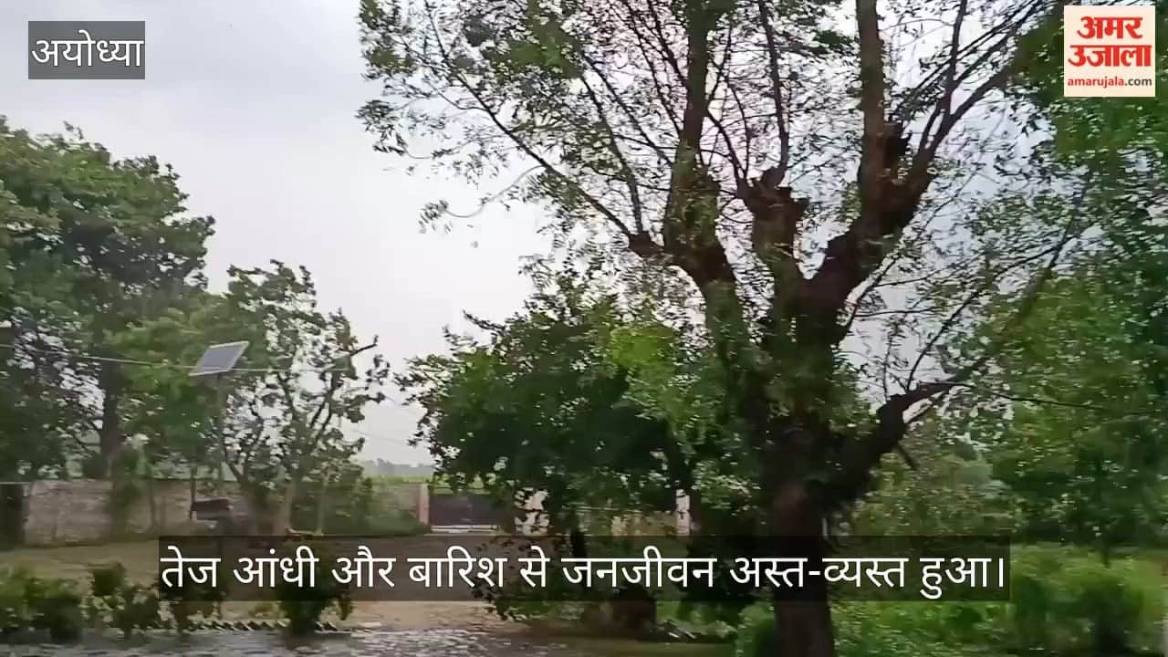 VIDEO: तेज आंधी-पानी से जनजीवन अस्त-व्यस्त, धान-गन्ना फसल को नुकसान