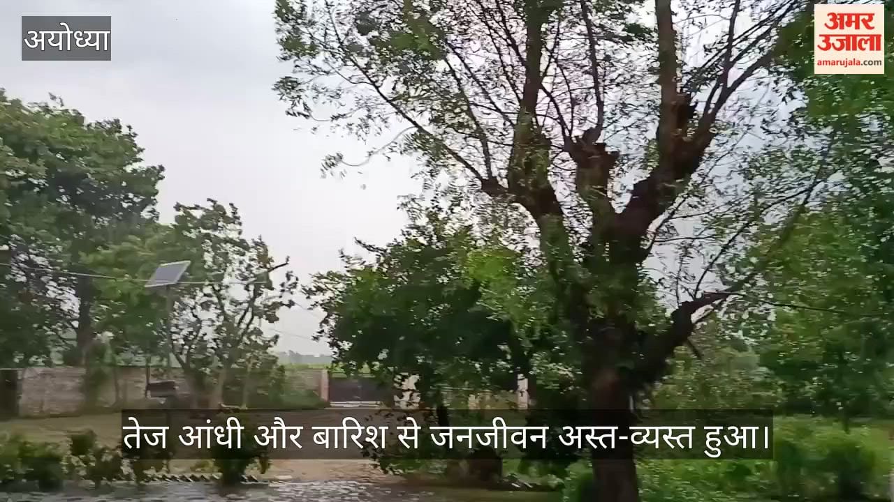 VIDEO: तेज आंधी-पानी से जनजीवन अस्त-व्यस्त, धान-गन्ना फसल को नुकसान