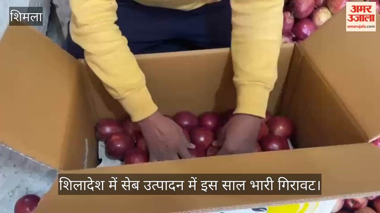 rohru shiladesh apple production falls weather cost increase himachal