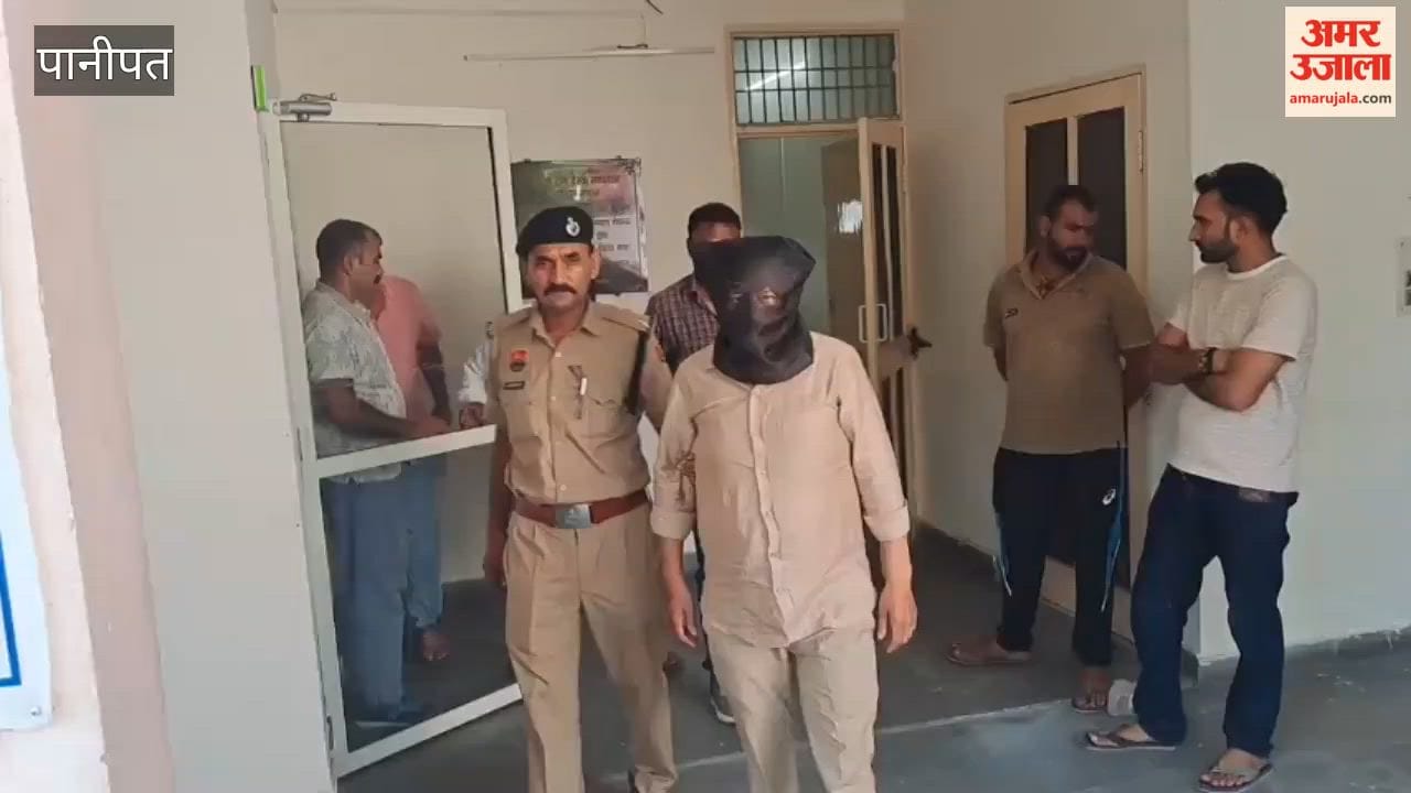 Action taken against two cars over allegations of flaunting government number plates to show off.