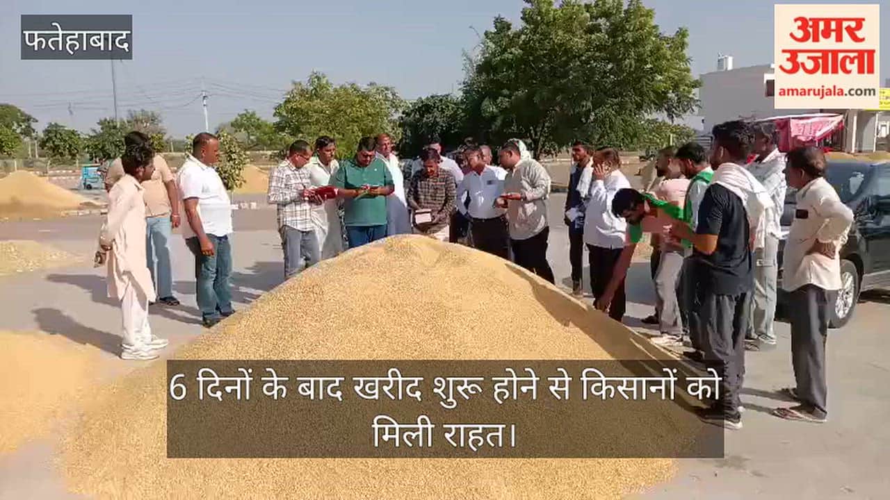 Paddy procurement at MSP begins; queues of tractor-trolleys outside mandis.