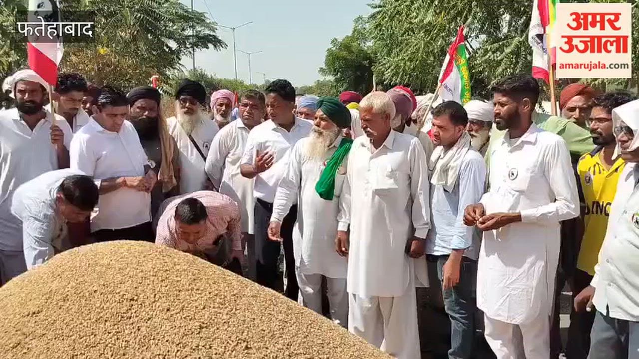 Farmers in Mandi express resentment over paddy procurement from certain lots; Naib Tehsildar offers assurance.