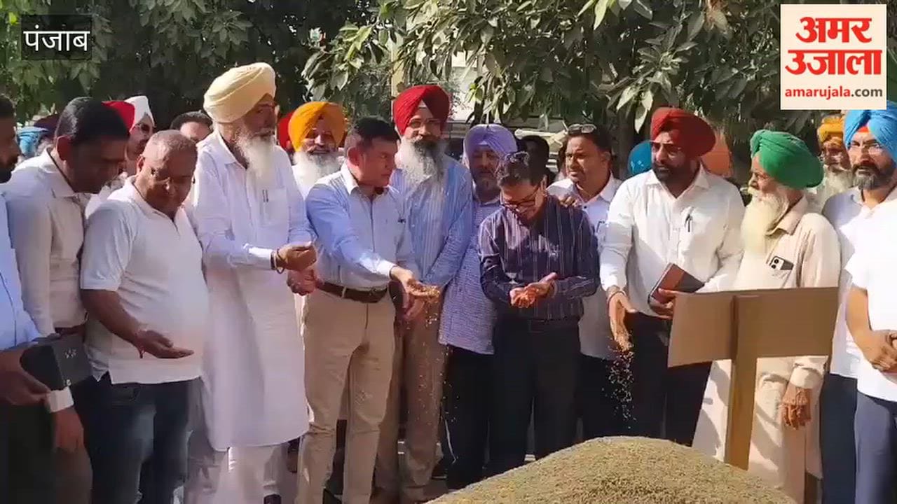Government procurement of paddy begins in Faridkot mandi.