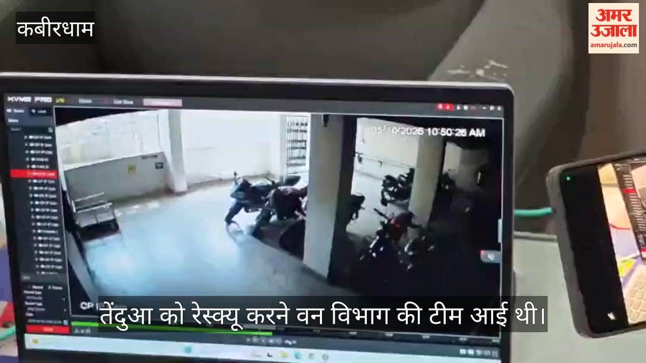 Kabirdham Leopard Enters Hospital Women Restroom Injures Woman Captured After five Hours