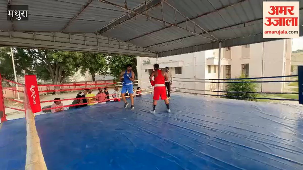 VIDEO: रिंग में बरसे मुक्के, पांच बॉक्सर मंडलीय ट्रायल के लिए चुने