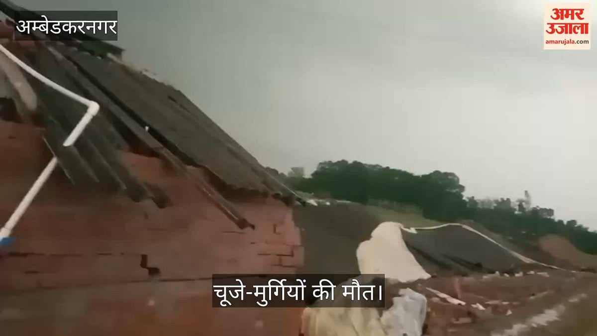 Video: आंधी में पोल्ट्री फार्म धराशायी, बड़ी संख्या में चूजे-मुर्गियों की मौत