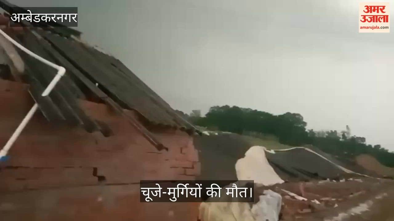 Video: आंधी में पोल्ट्री फार्म धराशायी, बड़ी संख्या में चूजे-मुर्गियों की मौत