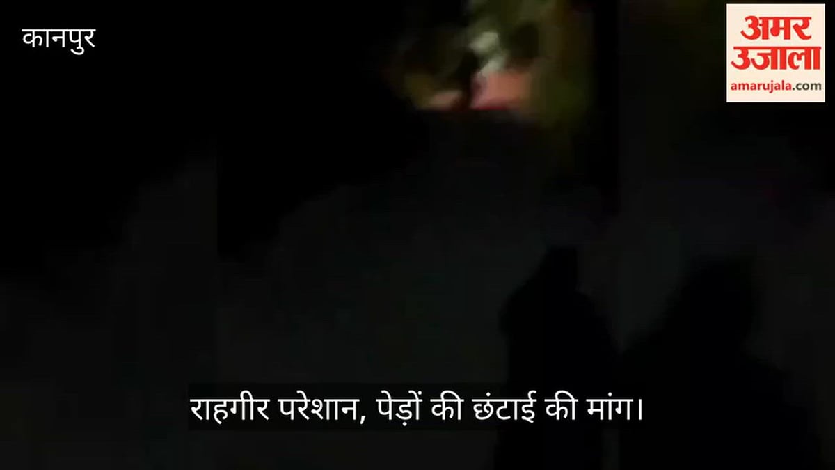 कानपुर कैंट के बदलीपुरवा में छा रहा अंधेरा, पेड़ों की डालियों से ढकीं हैं स्ट्रीट लाइटें
