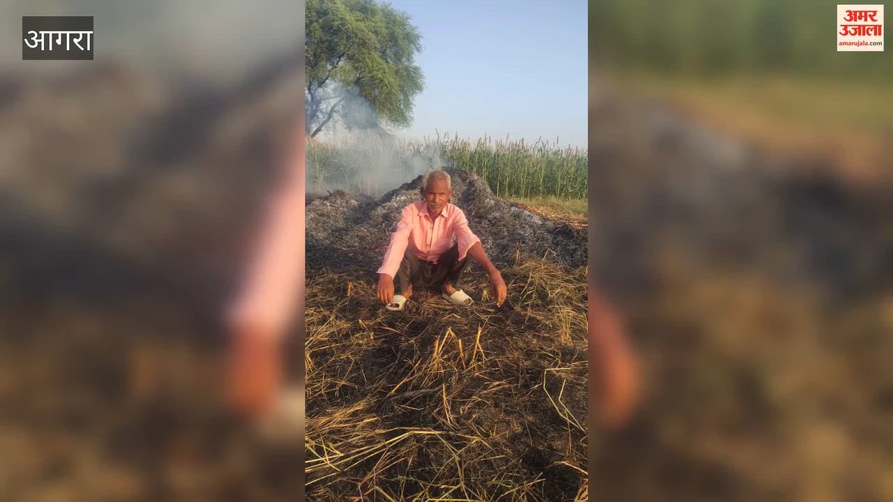 Fire breaks out in four bighas of pearl millet crop; loss worth thousands.