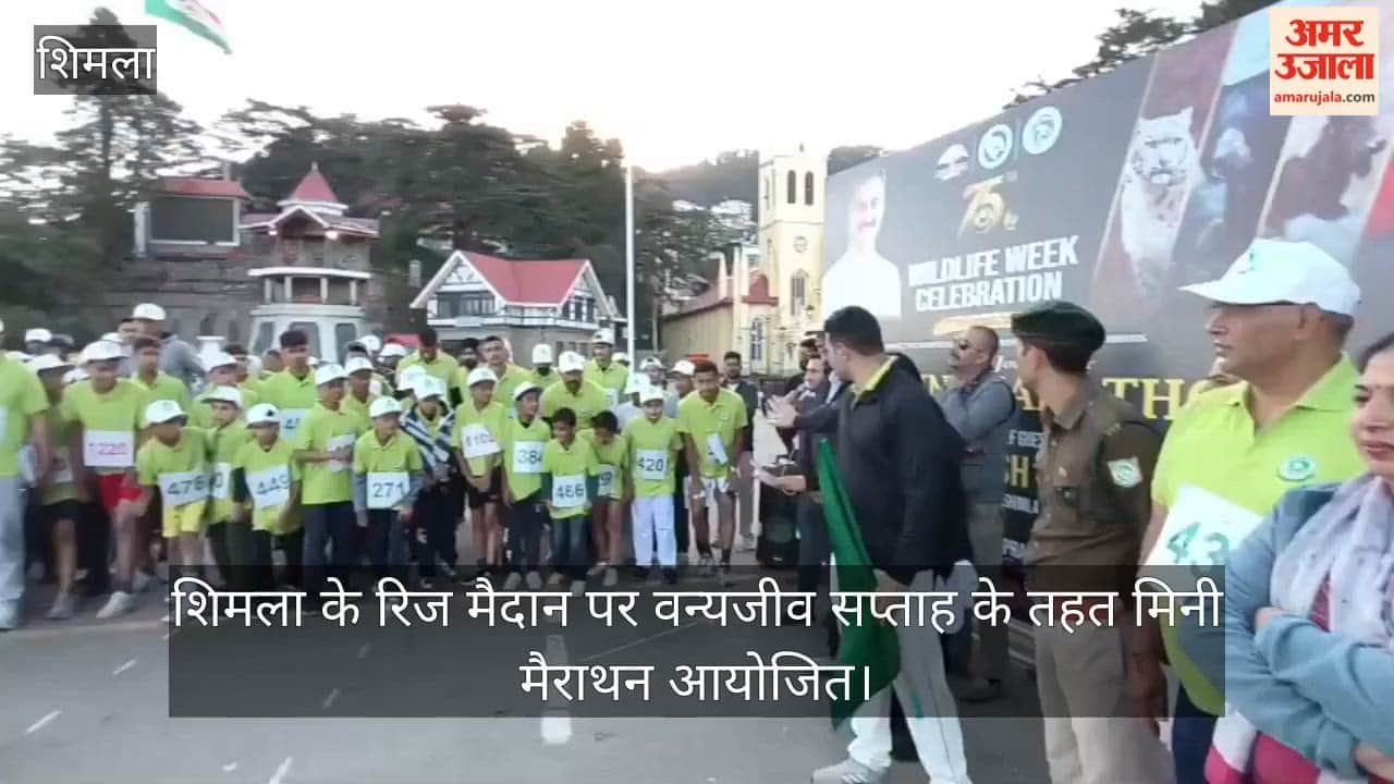 wildlife week mini marathon shimla ridge maidan harish janartha