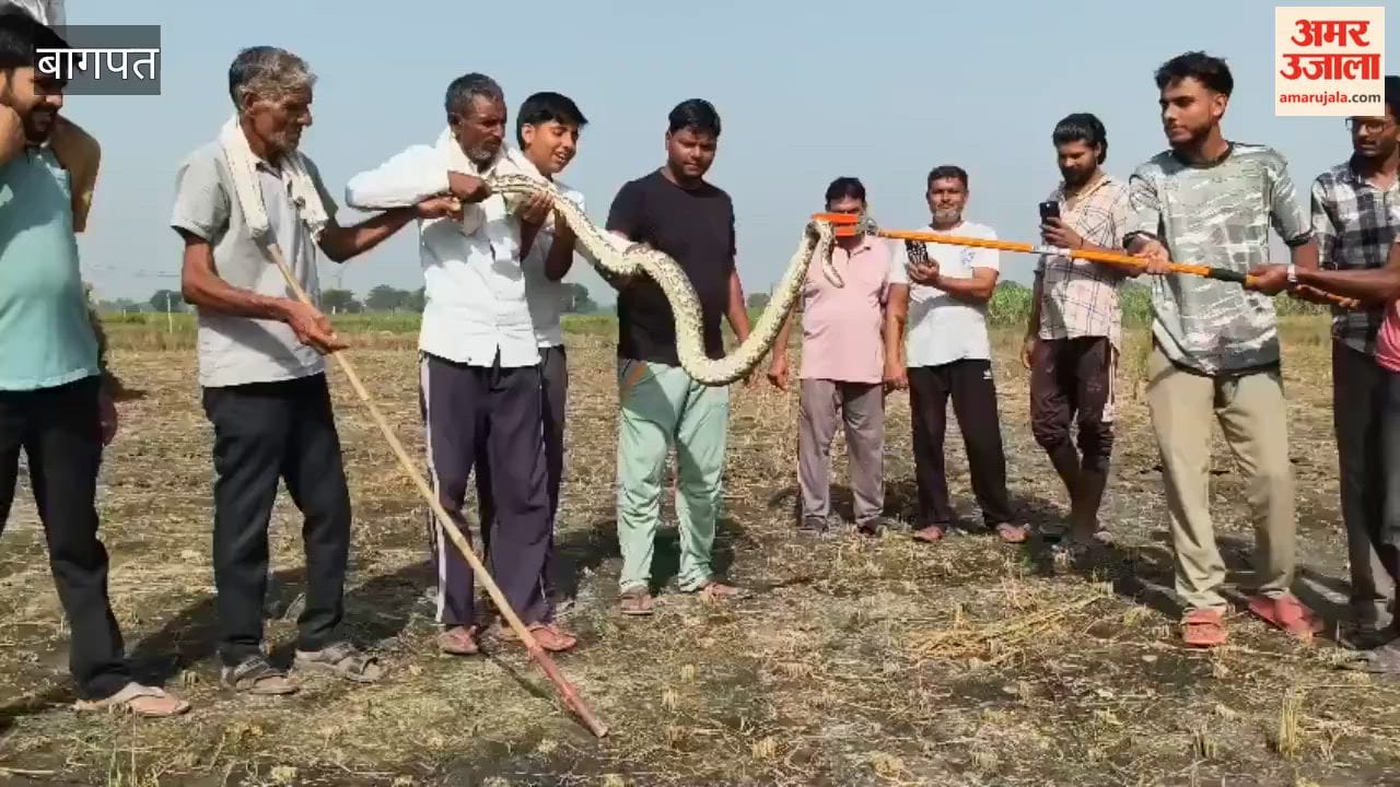 Baghpat: 12-foot-long python found in tubewell in Sahbanpur village; farmer has a narrow escape.
