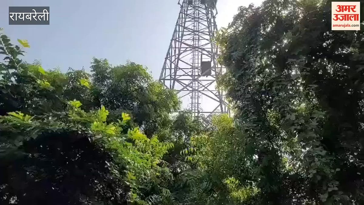 रायबरेली में प्रेमिका से शादी की जिद पर युवक टावर पर चढ़ा, पुलिस के समझाकर उतारा