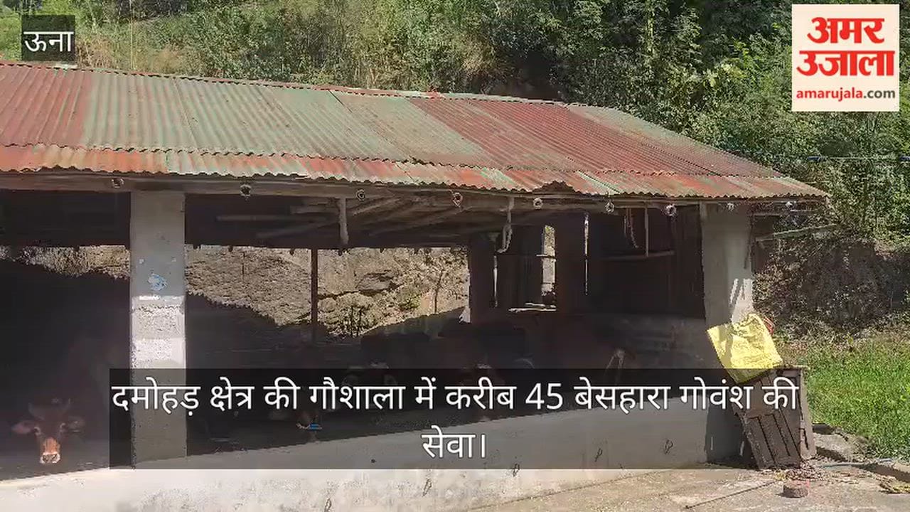 damohar gaushala shelter 45 stray cattle public support himachal