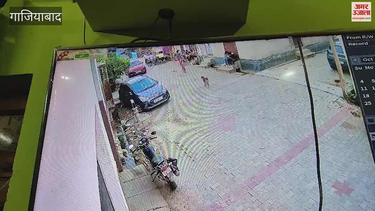 गाजियाबाद: डिडौली गांव में कार से कुचलकर कुत्ते की मौत, कैमरे में कैद हुई वारदात